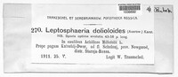 Leptosphaeria dolioloides image